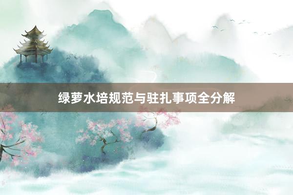 绿萝水培规范与驻扎事项全分解