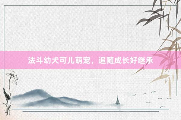 法斗幼犬可儿萌宠，追随成长好继承