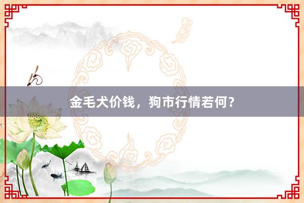 金毛犬价钱，狗市行情若何？
