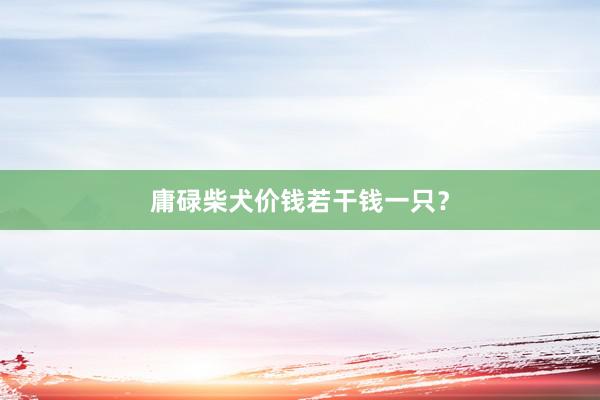 庸碌柴犬价钱若干钱一只?