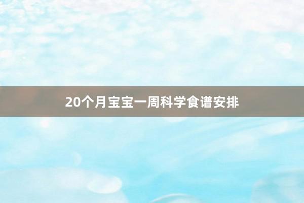 20个月宝宝一周科学食谱安排
